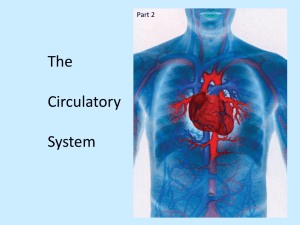 Circulatory SystemP2 - Ms. Ghtaura's Class