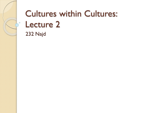 Cultures within Cultures: Lecture 2