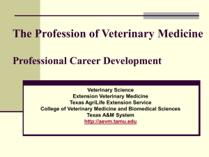 Profession of Veterinary Medicine Professional Career Development