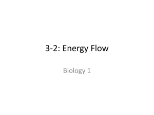 Energy Flow Notes