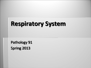 Respiratory System - El Camino College