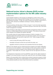 WA BJD implementation options - July 2015