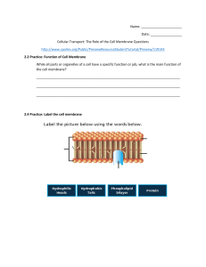 Name: Date: Cellular Transport: The Role of the Cell Membrane