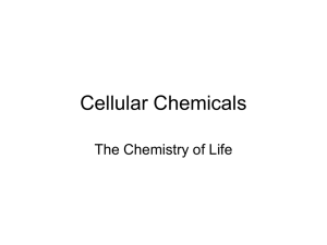 Chemical Counponds, Cell Theory & Organization