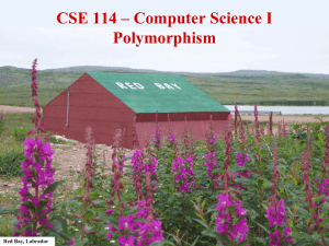 Polymorphism - SUNY