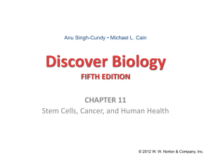 Stem Cells, Cancer, and Human Health