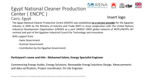 Egypt National Cleaner Production Centre