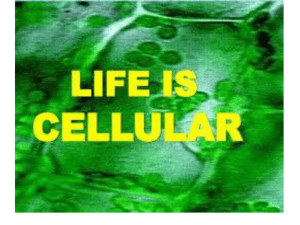 cell theory powerpoint