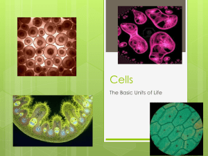All organisms are made of one or more cells The cell is the basic