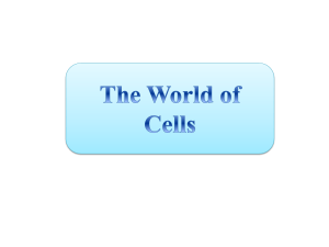 Cell - Lectures For UG-5