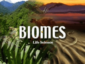 PowerPoint-Biomes