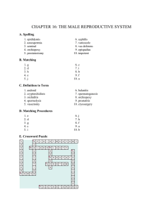 CHAPTER 16: THE MALE REPRODUCTIVE SYSTEM A. Spelling 1