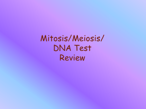 Mitosis,Meiosis,DNA Jeopardy