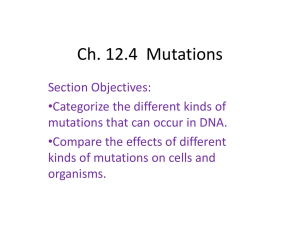 Ch. 12.4 Gene Regulation and Mutation