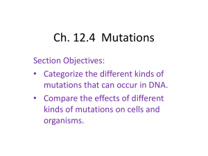 Ch. 12.4 Gene Regulation and Mutation