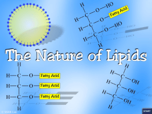 2.the nature of lipids