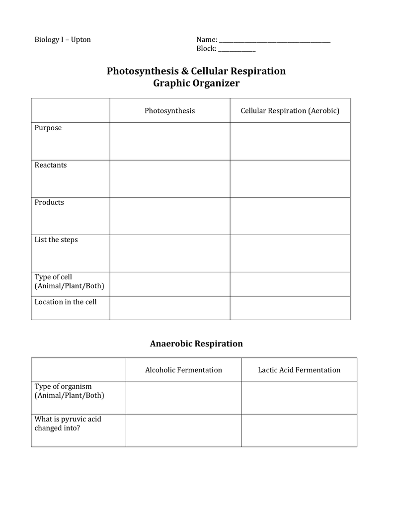 Photosynthesis Cellular Resp Review Worksheet