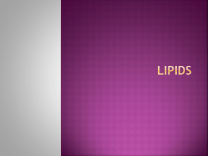 Lipids - Groby Bio Page