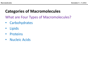 Lecture 7 (IB Bio2) - Macromolecules