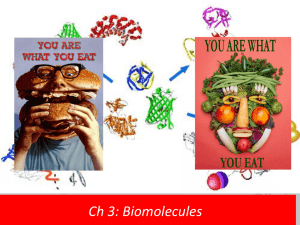 Ch 3: Biomolecules