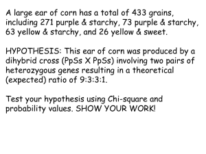 Corn genetics Chi square - local.brookings.k12.sd.us