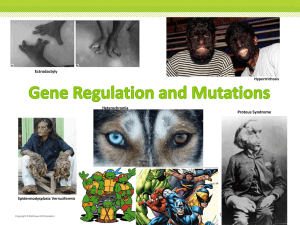 Gene Regulation and Mutations