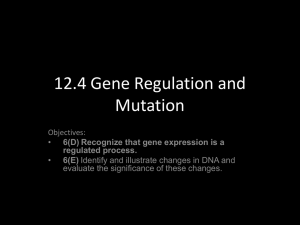 Gene Regulation and Mutation