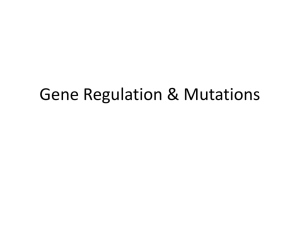 Gene Regulation & Mutations