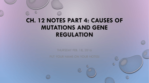 Ch. 12 Notes Part 4: Causes of Mutations and Gene Regulation