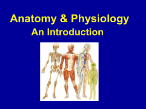 Anatomy & Physiology intro. powerpoint (chapter 1)
