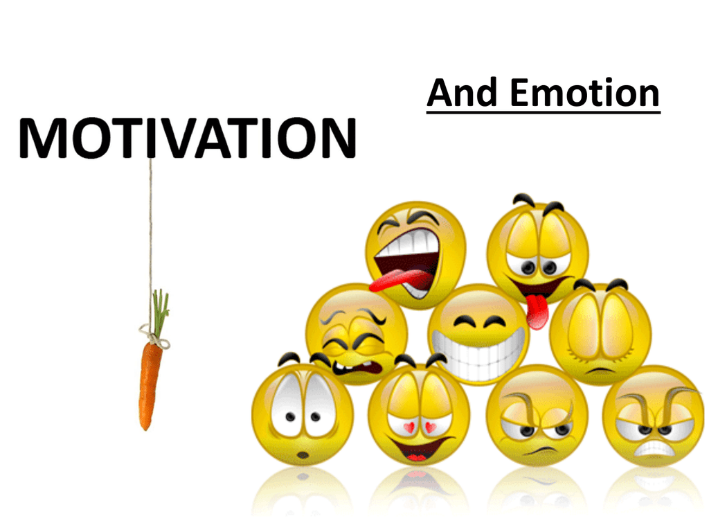 motivation and emotion psychology assignment
