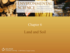 Parent material materials underlying the soil and from which the soil