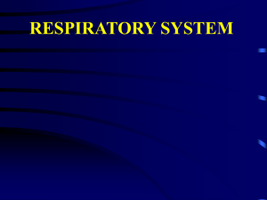 respiratory system text