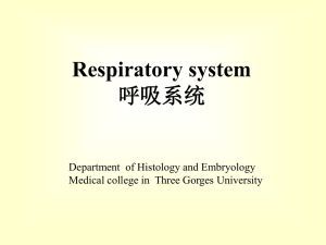 Respiratory portion