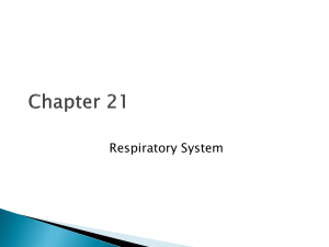 2nd respiratory ppt