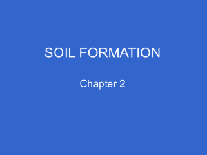 Soil Formation