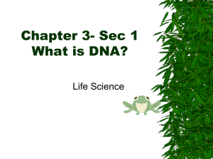 Chapter 4: Cell Reproduction What is DNA?