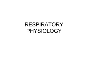 RESPIRATORY PHYSIOLOGYwithoutgasexchange