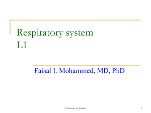 respiratory system-L1 students 2012-2013