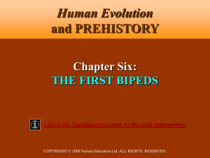 3.64 MB - Human Evolution and Prehistory, Second Canadian Edition