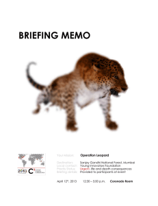 briefing memo - WordPress.com