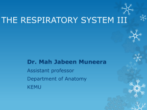 The Respiratory System Iii By Dr. Mahjabeen Muneera 11-03-2015