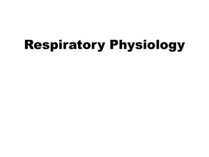 Respiratory Physiology