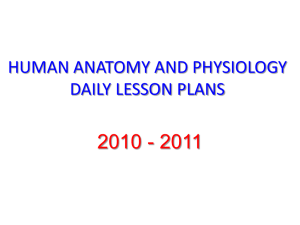 2010-2011 A and P DAILY LESSON PLANS A and P