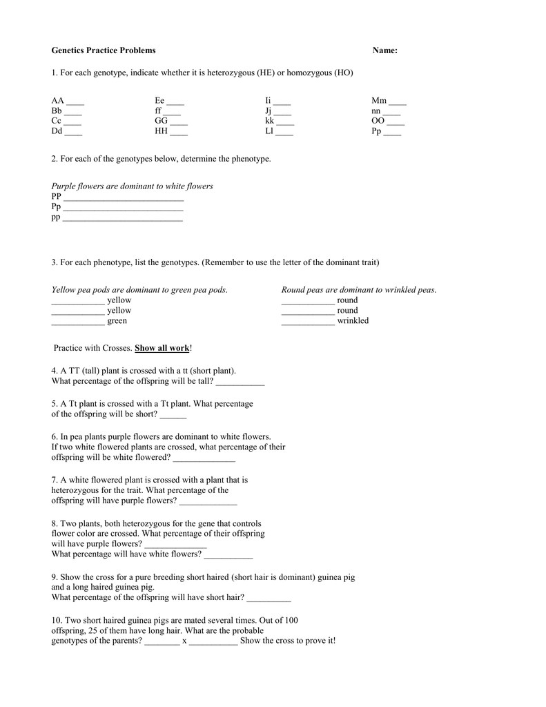 Simple Genetics Practice Problems Within Genetics Practice Problems Worksheet