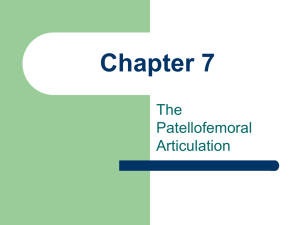 Chapter 7 The Patellofemoral Articulation