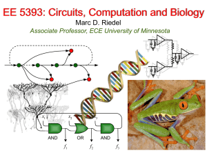 office - The Circuits and Biology Lab at UMN