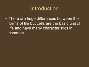 Cells Notes Topic 2.2 and 2.3 classroom notes