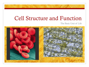 Cell Structure and Function