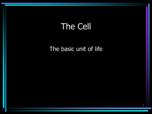 The Cell - Studyclix